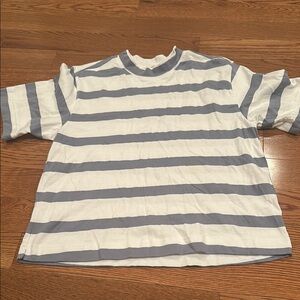 Striped AYR shirt  in White and Gray
